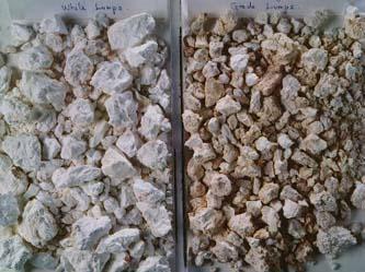 Lightly Calcined Magnesite