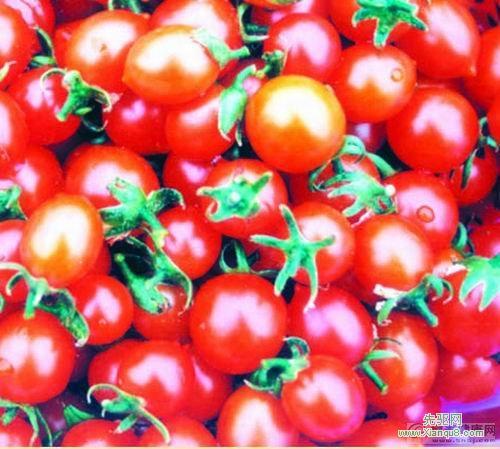 Lycopene - Tetraterpene Derived from Tomatoes | Deep Red Color, Antioxidant Activity, Non-Toxic Food Coloring