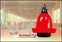 poultry drinker