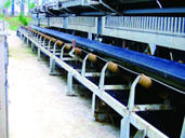 DTII Belt Conveyor