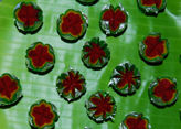 Gaji Flower Sweets