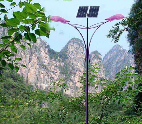 LVD Induction Solar Street Light