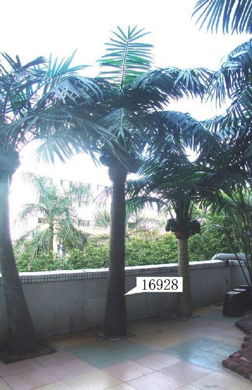 Artificial Coconut Palm