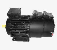 Inverter Duty Motors - Enhanced Cooling System, Excellent Thermal Management for Low Speed Operations