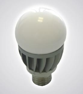 LED Globe Light