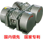 WLZD Conjoined Vibrating Motor