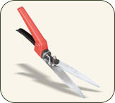 Grass Shears