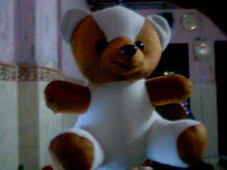 Teddy Bear-10"