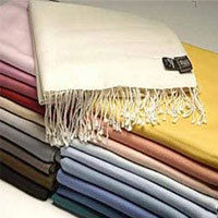 Plain Pashmina Shawls