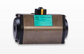 Pneumatic Rotary Actuator