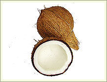 Coconut