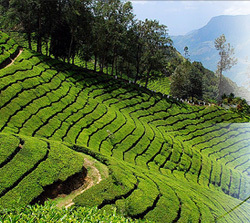 South India Tour Packages By E-Definers Technology