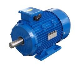 Y2Series Three-Phase Induction Motors