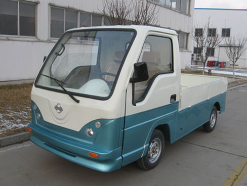 Electric Cargo Truck (Dv32101)