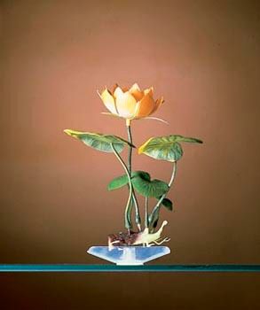 Penn Plax White Water Lily