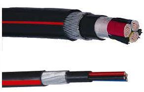 Concentric / Split Concentric Service Cable (600/1000v)