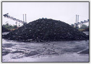 Non-Coking Coal