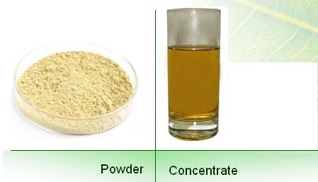 Instant Chrysanthemum Powder