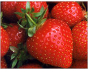 Fruit Phyto Therapy Facial Strawberry Series