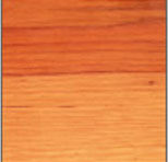 Hickory American Timber