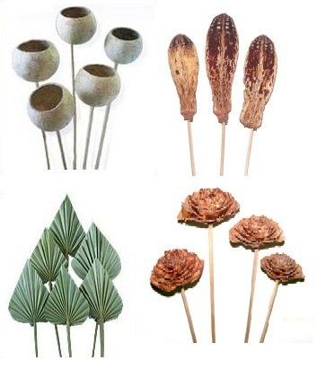 Dried Flower Exotics