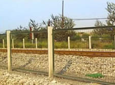 Fencing Wire Mesh