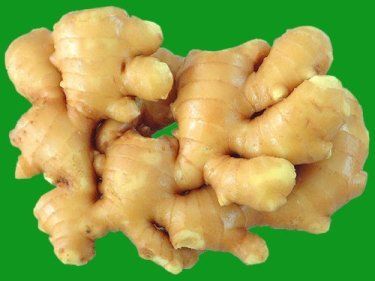 Ginger Extract - Dried Rhizomes of Zingiber Officinale, Customized Formulations for Motion Sickness Relief and Digestive Health