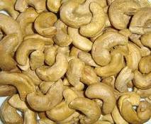 Cashew