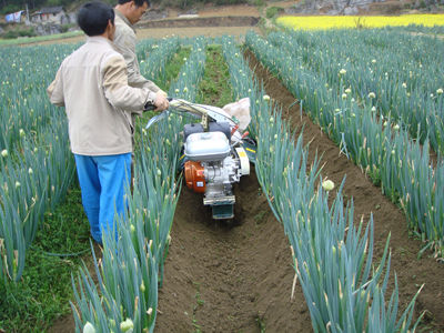 Trenching Machine