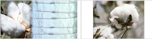 Raw Cotton - 28mm to 30mm Staple Length, 27-30 gm/tex Strength, 83%+ Uniformity Ratio, Below 1.5% Trash, 5.5 to 6.5% Elongation