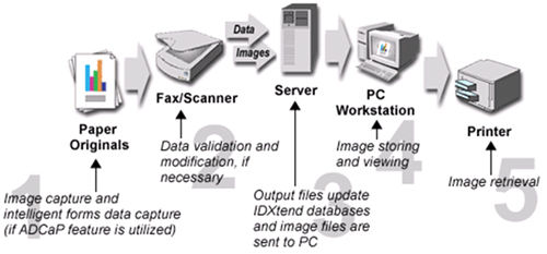 Document Digitisation Service