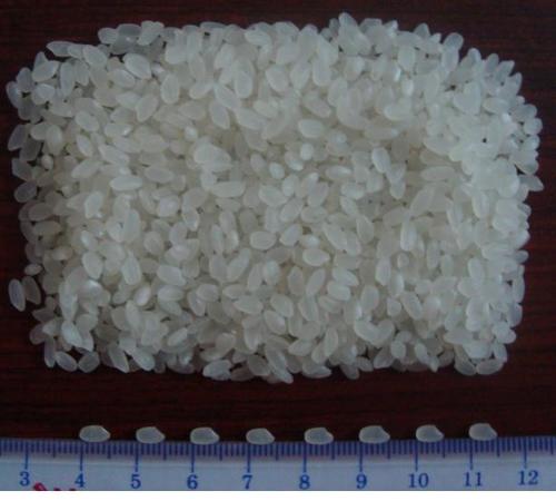 Japonica Rice 5% broken 