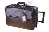 Travelling Trolley Bag