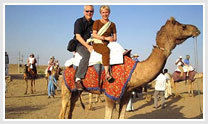 Camel Safari Tours By Indian Holiday Pvt. Ltd.