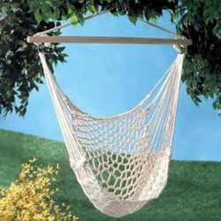 Hammock And Swings