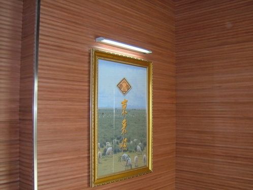 WPC Indoor Decorative Panels