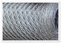 Hexagonal Wire Mesh