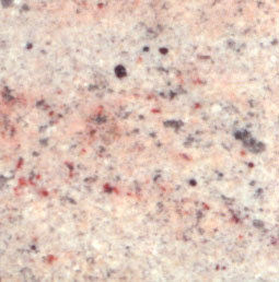 Shivakashi Ivory Granite