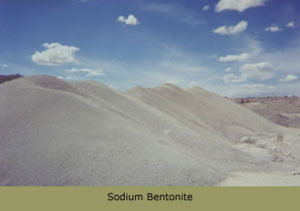 Processed Bentonite