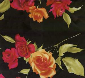 Printed Silk Fabric