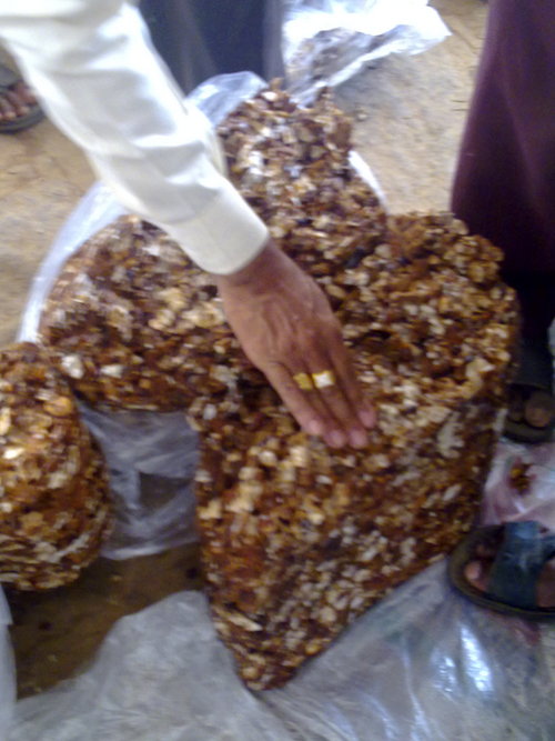 Tamarind Seeds