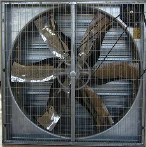 Circulating Fan 50'