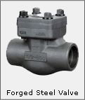 Forged Steel Valves