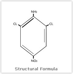 2,6 - Dichloro - 4 - Nitro Aniline