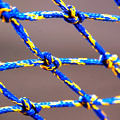 Sapphire Fishing Net