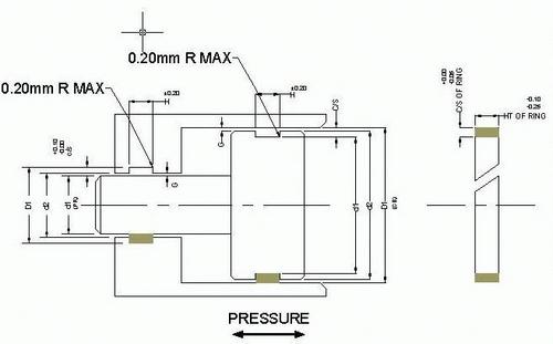 Medium Duty Wear Ring