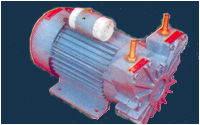 Monoblock Dry Vacuum Pump 