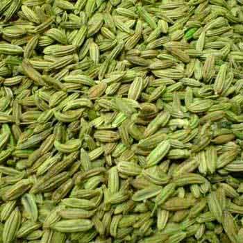 Fennel Seeds