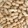 Groundnuts