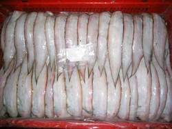 Sole Fish - Premium Quality Flat Fish, Nutrient-Rich and Infection-Free